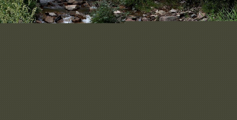 b1764493-eae7-4db8-80aa-d18fbd331121.png